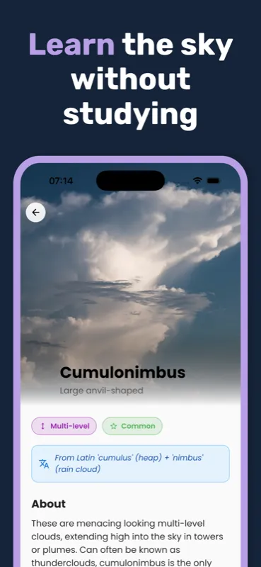 Learn the sky without studying — the Cumulonimbus entry, showing its Latin derivation, altitude level and description