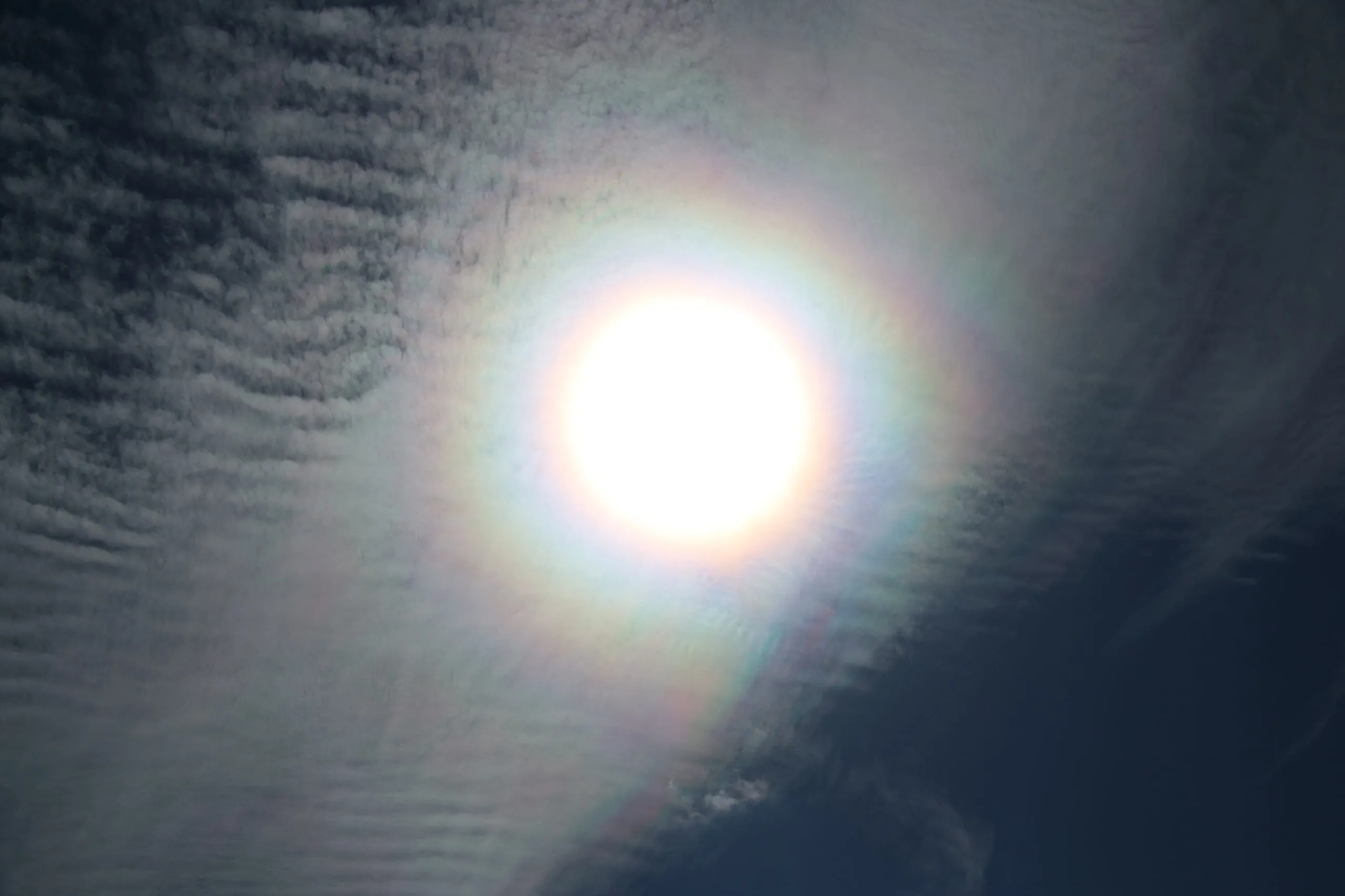 Corona