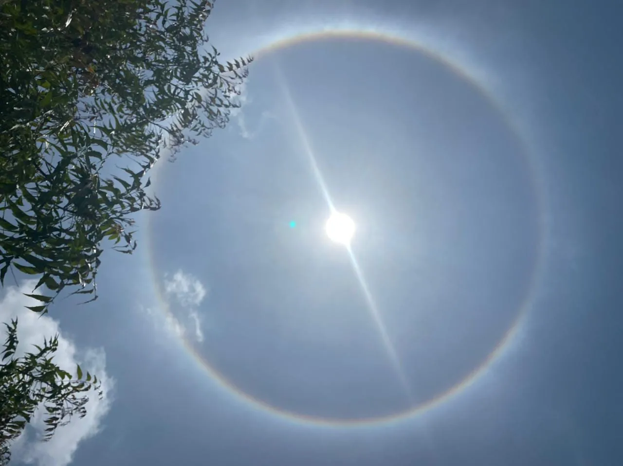 22° Halo