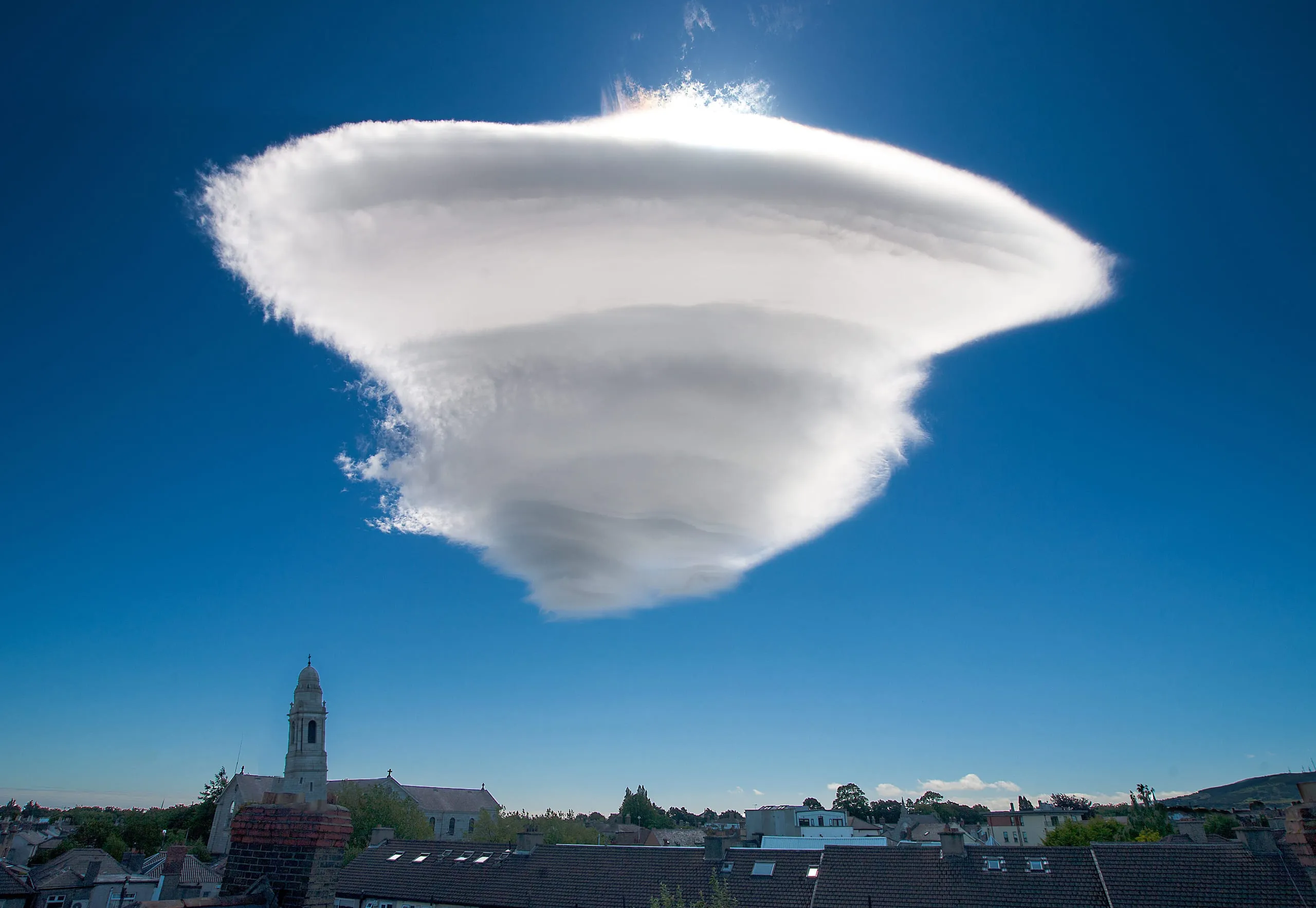 Lenticular