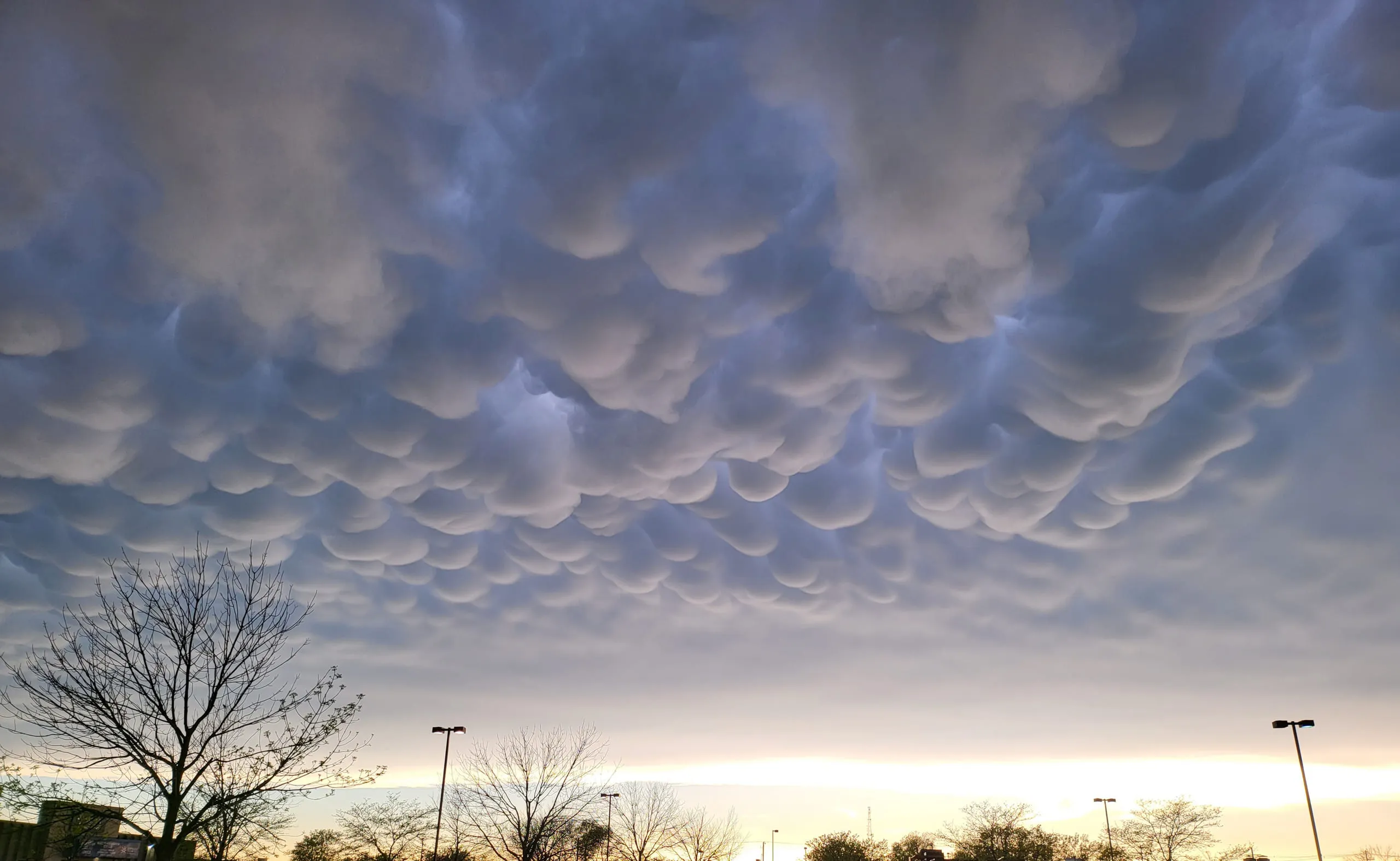 Mammatus