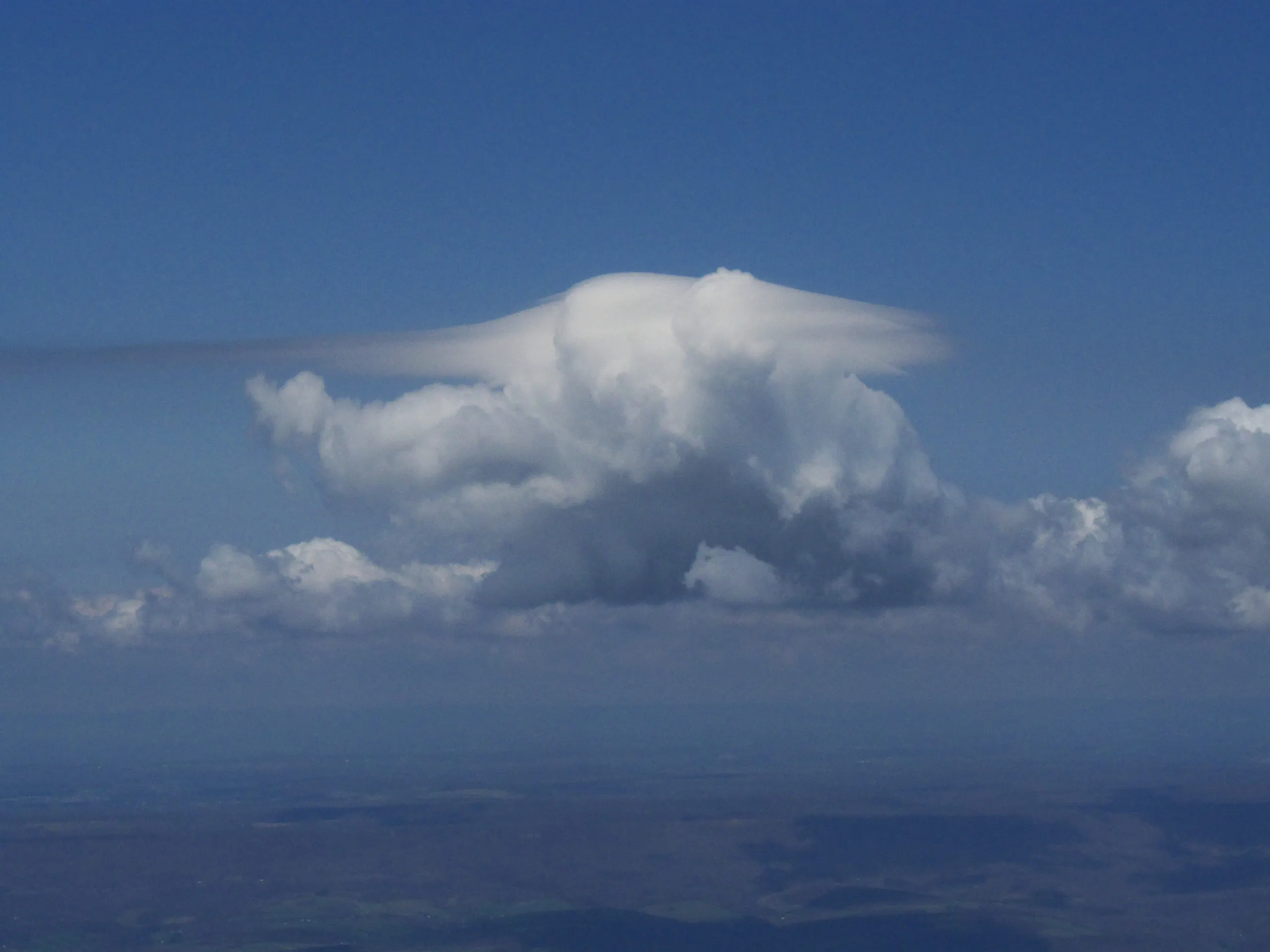 Pileus