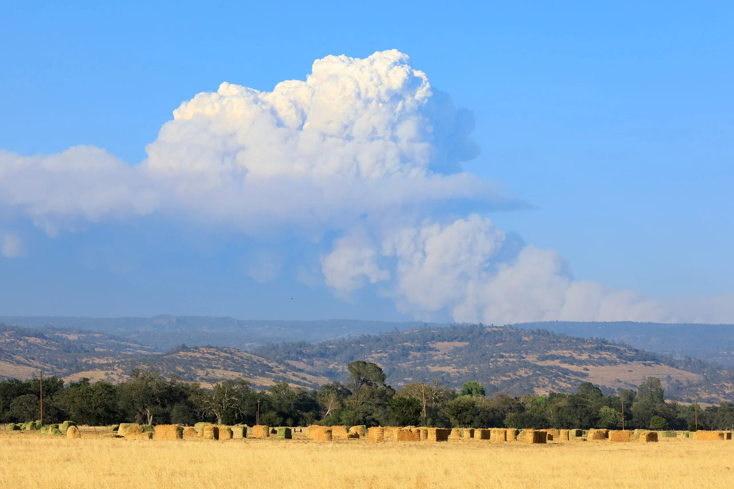 Pyrocumulus