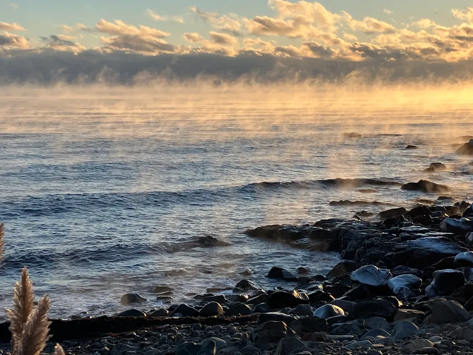 Steam Fog